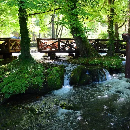 Garni Drina 3*